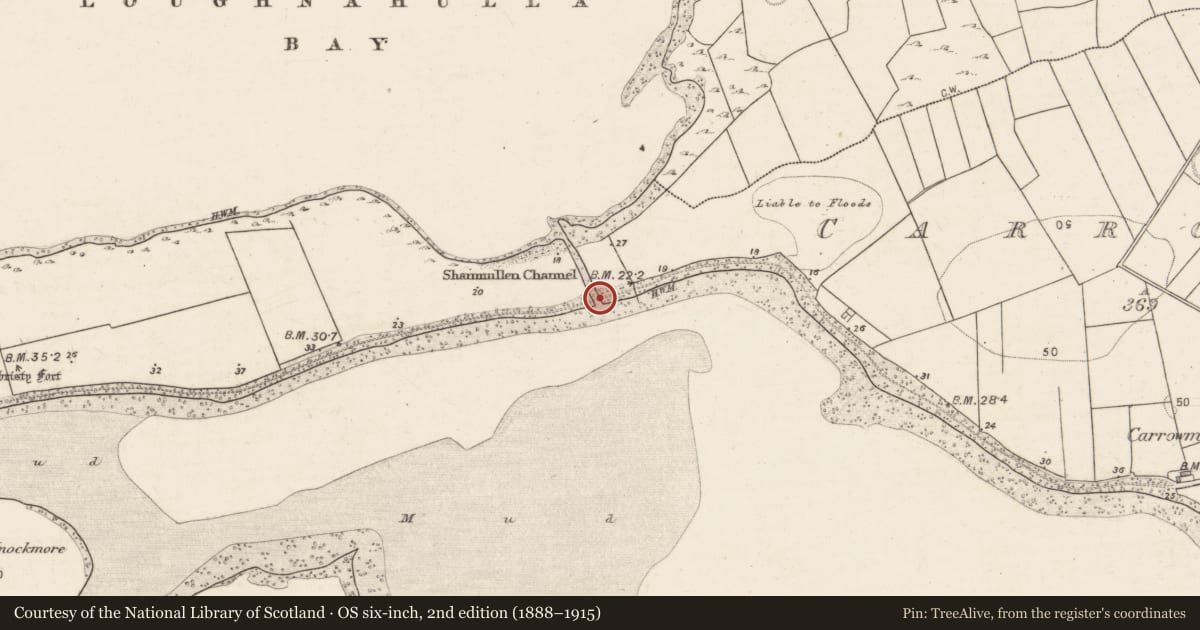 Ordnance Survey six-inch map, 2nd edition (1888–1915) covering the location of Tide mill - unclassified, Carrowmore (Ballynacourty ED ), County Galway, with a pin at the register's coordinates