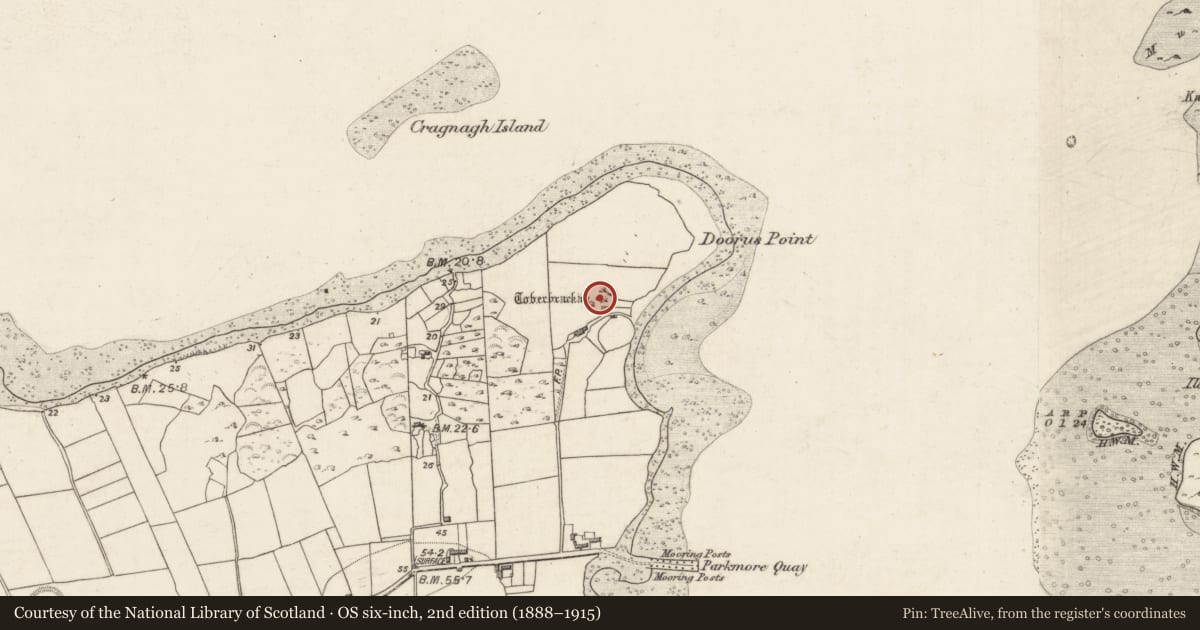 Ordnance Survey six-inch map, 2nd edition (1888–1915) covering the location of Enclosure, Doorus, County Galway, with a pin at the register's coordinates