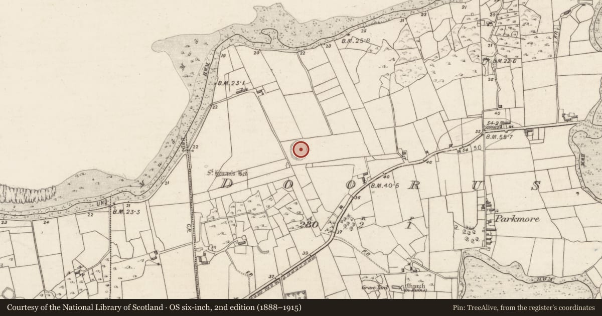 Ordnance Survey six-inch map, 2nd edition (1888–1915) covering the location of Ringfort - rath, Doorus, County Galway, with a pin at the register's coordinates