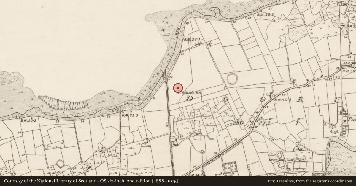 Ordnance Survey six-inch map, 2nd edition (1888–1915) covering the location of Bullaun stone, Doorus, County Galway, with a pin at the register's coordinates