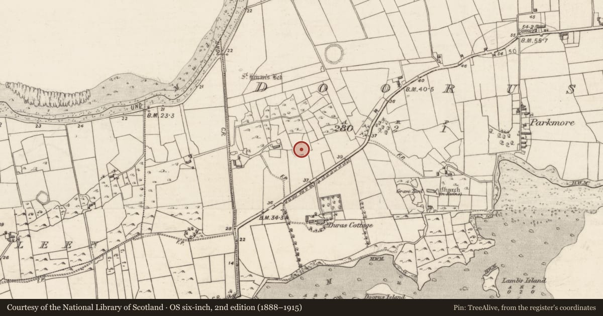 Ordnance Survey six-inch map, 2nd edition (1888–1915) covering the location of Ringfort - cashel, Doorus, County Galway, with a pin at the register's coordinates