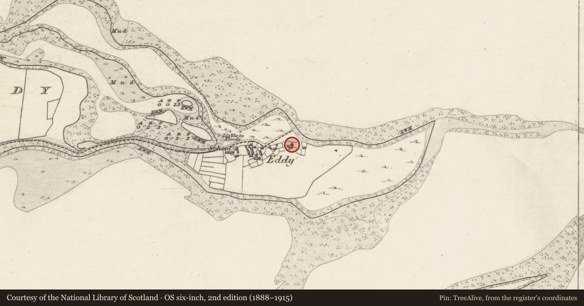 Ordnance Survey six-inch map, 2nd edition (1888–1915) covering the location of Castle - unclassified, Island Eddy, County Galway, with a pin at the register's coordinates