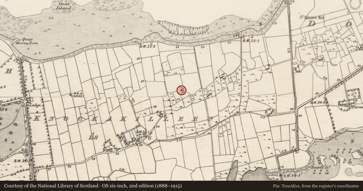 Ordnance Survey six-inch map, 2nd edition (1888–1915) covering the location of Ringfort - cashel, Knockakilleen, County Galway, with a pin at the register's coordinates