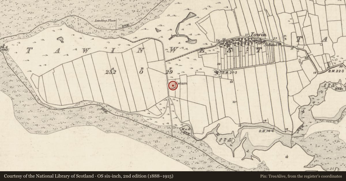 Ordnance Survey six-inch map, 2nd edition (1888–1915) covering the location of Ringfort - rath, Tawin West, County Galway, with a pin at the register's coordinates