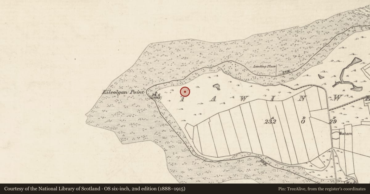 Ordnance Survey six-inch map, 2nd edition (1888–1915) covering the location of House - indeterminate date, Tawin West, County Galway, with a pin at the register's coordinates