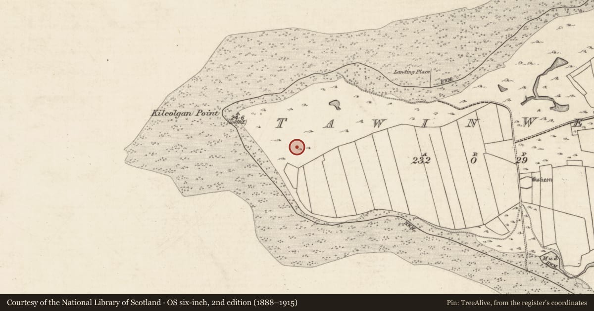 Ordnance Survey six-inch map, 2nd edition (1888–1915) covering the location of Enclosure, Tawin West, County Galway, with a pin at the register's coordinates