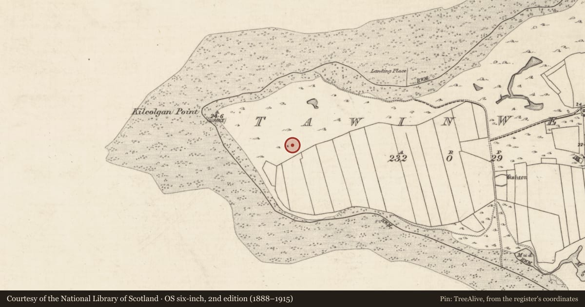 Ordnance Survey six-inch map, 2nd edition (1888–1915) covering the location of Enclosure, Tawin West, County Galway, with a pin at the register's coordinates