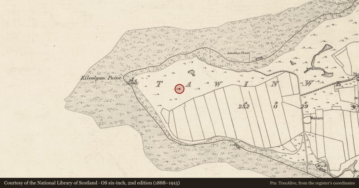 Ordnance Survey six-inch map, 2nd edition (1888–1915) covering the location of Enclosure, Tawin West, County Galway, with a pin at the register's coordinates