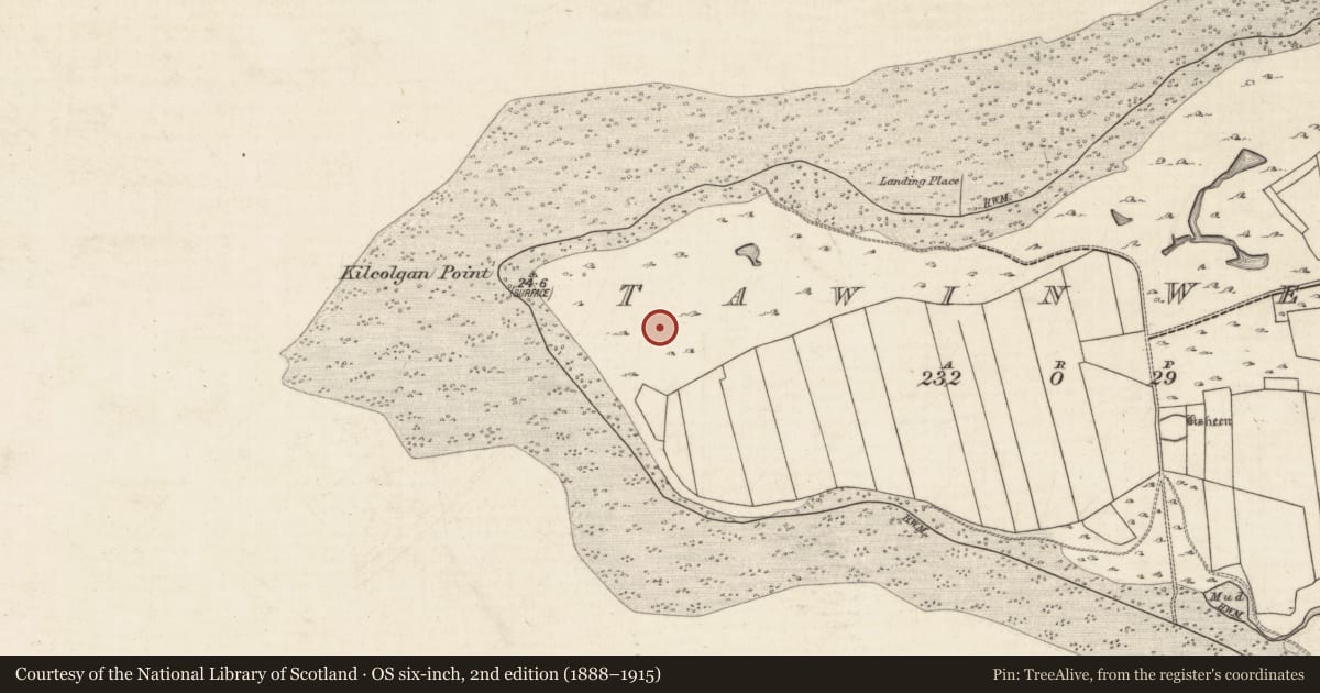 Ordnance Survey six-inch map, 2nd edition (1888–1915) covering the location of Field system, Tawin West, County Galway, with a pin at the register's coordinates