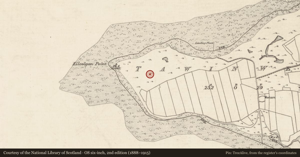 Ordnance Survey six-inch map, 2nd edition (1888–1915) covering the location of House - indeterminate date, Tawin West, County Galway, with a pin at the register's coordinates