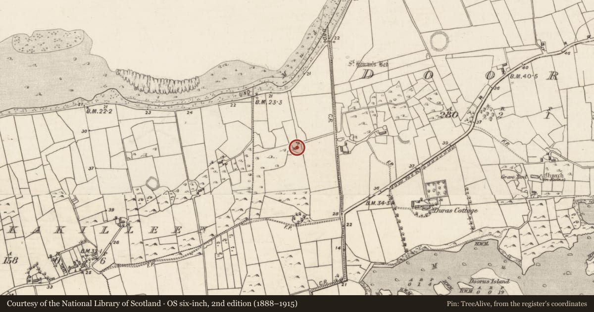 Ordnance Survey six-inch map, 2nd edition (1888–1915) covering the location of House - 18th/19th century, Tawnagh West, County Galway, with a pin at the register's coordinates