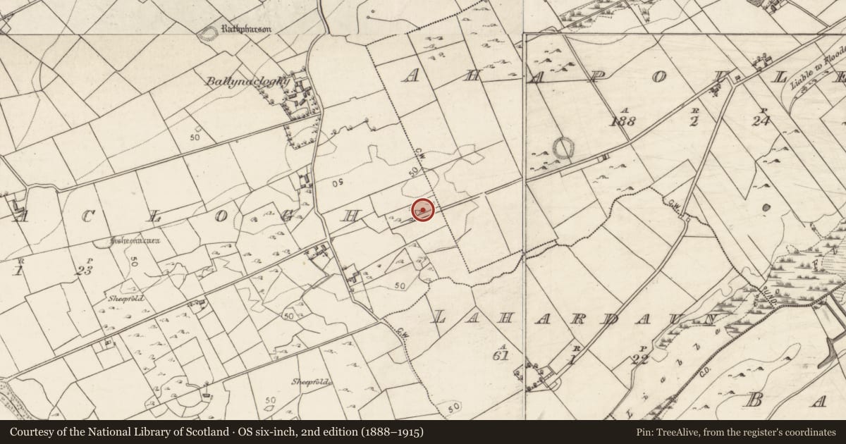 Ordnance Survey six-inch map, 2nd edition (1888–1915) covering the location of Mass-rock, Ballynacloghy, County Galway, with a pin at the register's coordinates