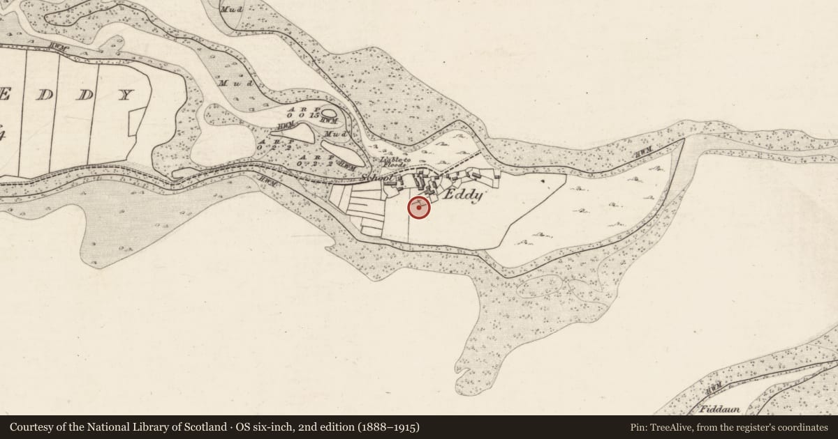 Ordnance Survey six-inch map, 2nd edition (1888–1915) covering the location of Children's burial ground, Island Eddy, County Galway, with a pin at the register's coordinates