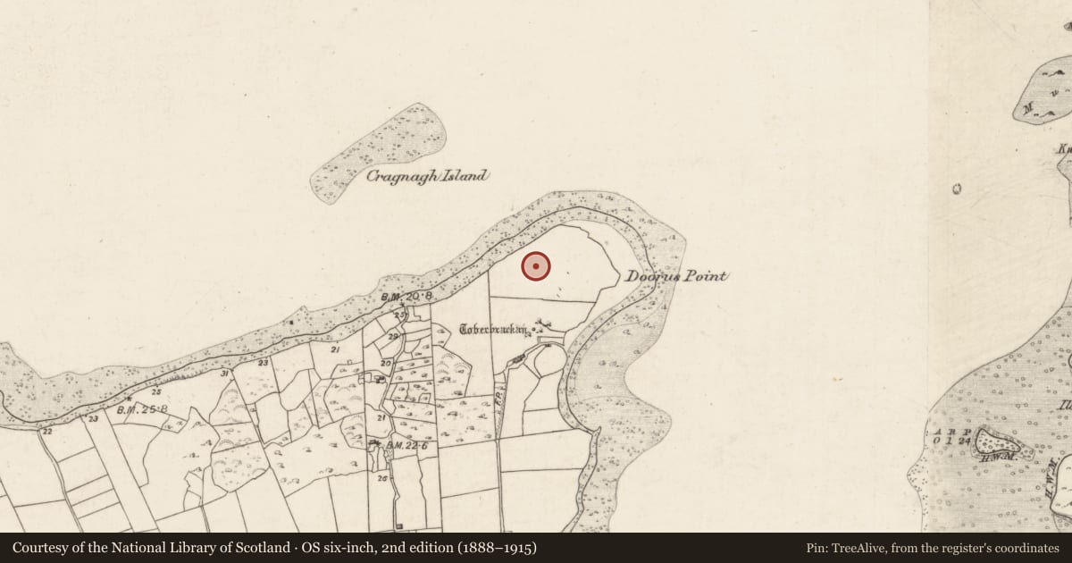 Ordnance Survey six-inch map, 2nd edition (1888–1915) covering the location of Enclosure, Doorus, County Galway, with a pin at the register's coordinates