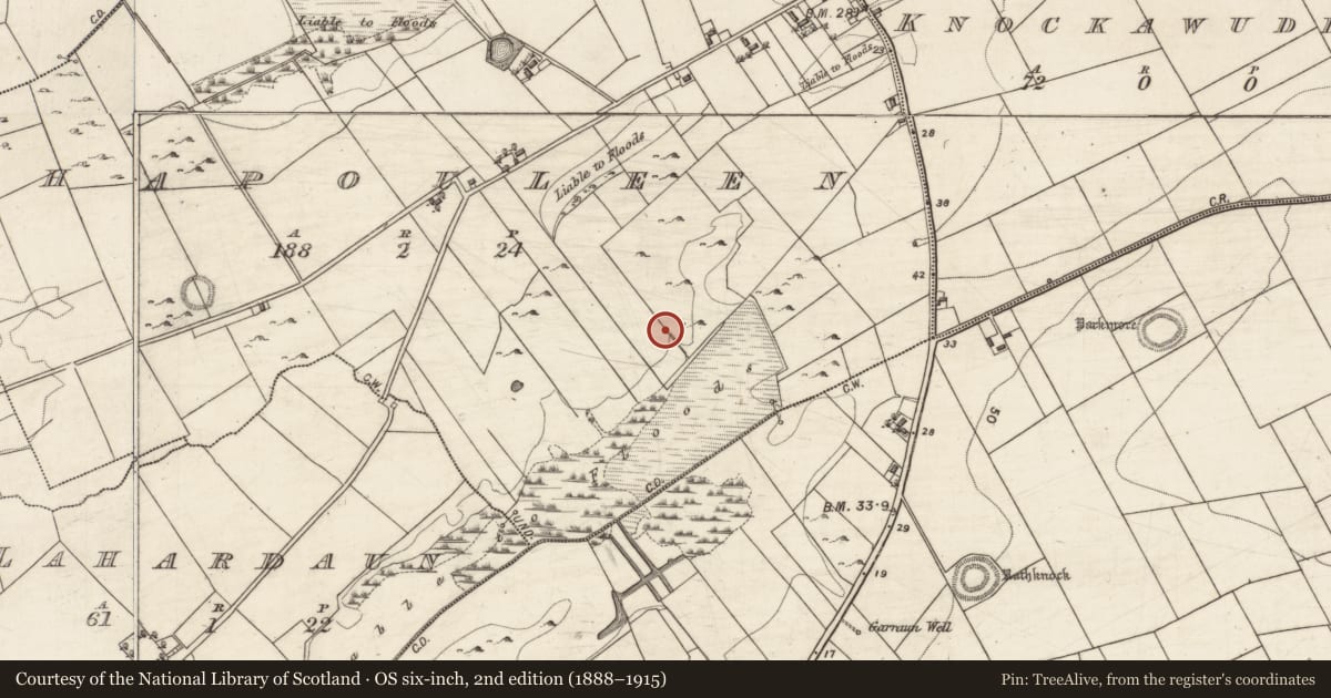 Ordnance Survey six-inch map, 2nd edition (1888–1915) covering the location of Well, Ahapouleen, County Galway, with a pin at the register's coordinates