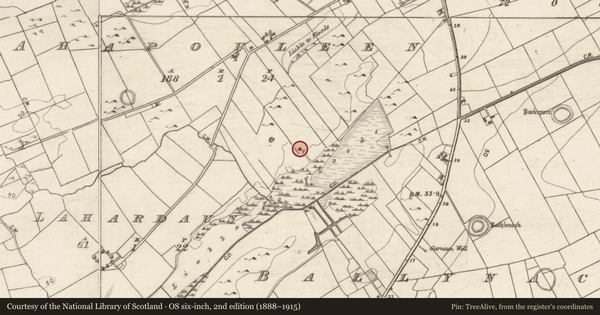 Ordnance Survey six-inch map, 2nd edition (1888–1915) covering the location of Well, Ahapouleen, County Galway, with a pin at the register's coordinates