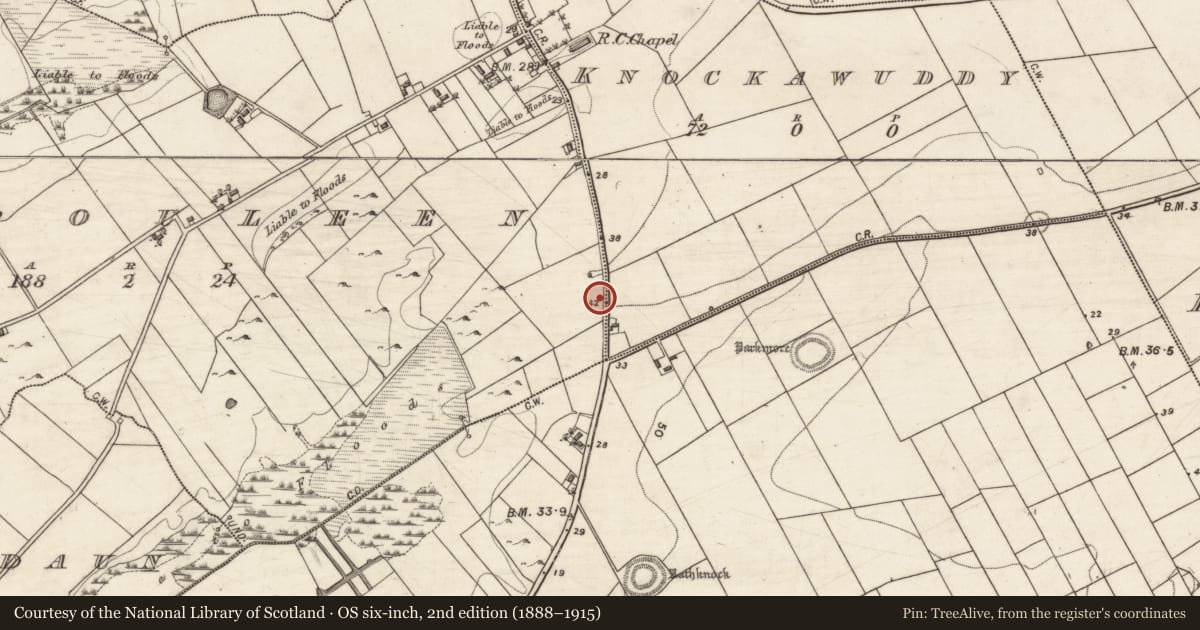 Ordnance Survey six-inch map, 2nd edition (1888–1915) covering the location of Standing stone, Knockawuddy, County Galway, with a pin at the register's coordinates