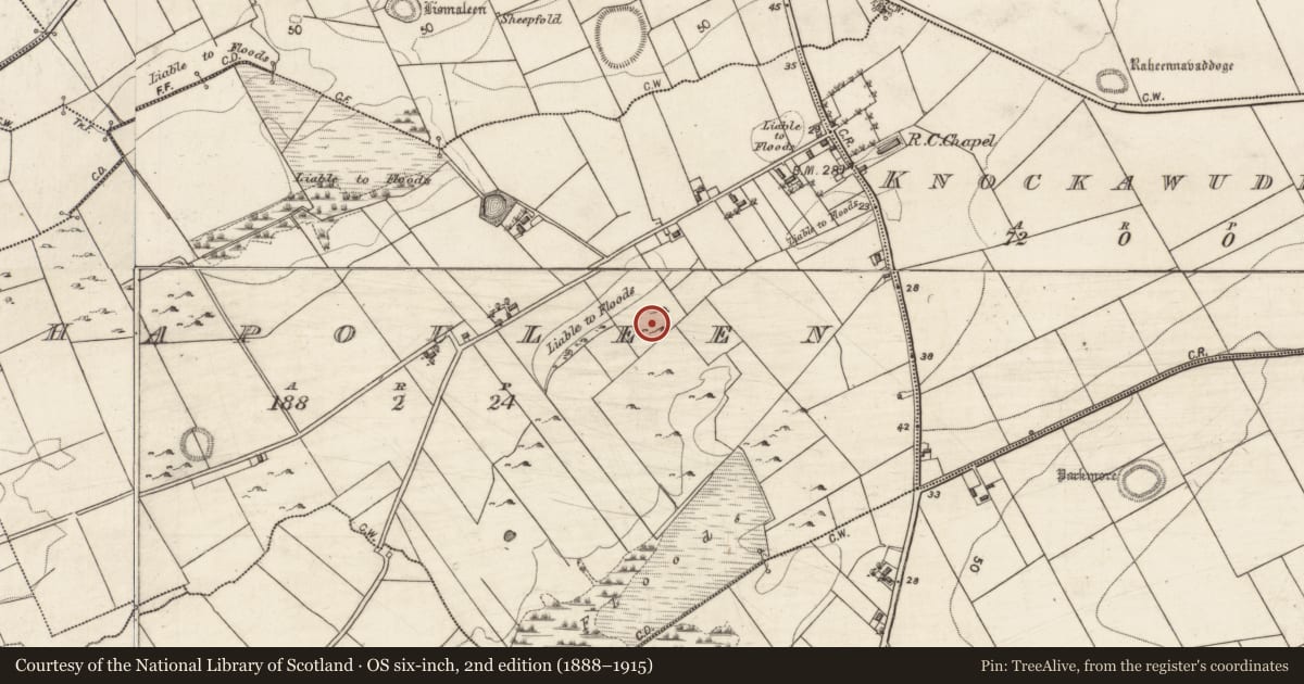 Ordnance Survey six-inch map, 2nd edition (1888–1915) covering the location of Enclosure, Ahapouleen, County Galway, with a pin at the register's coordinates