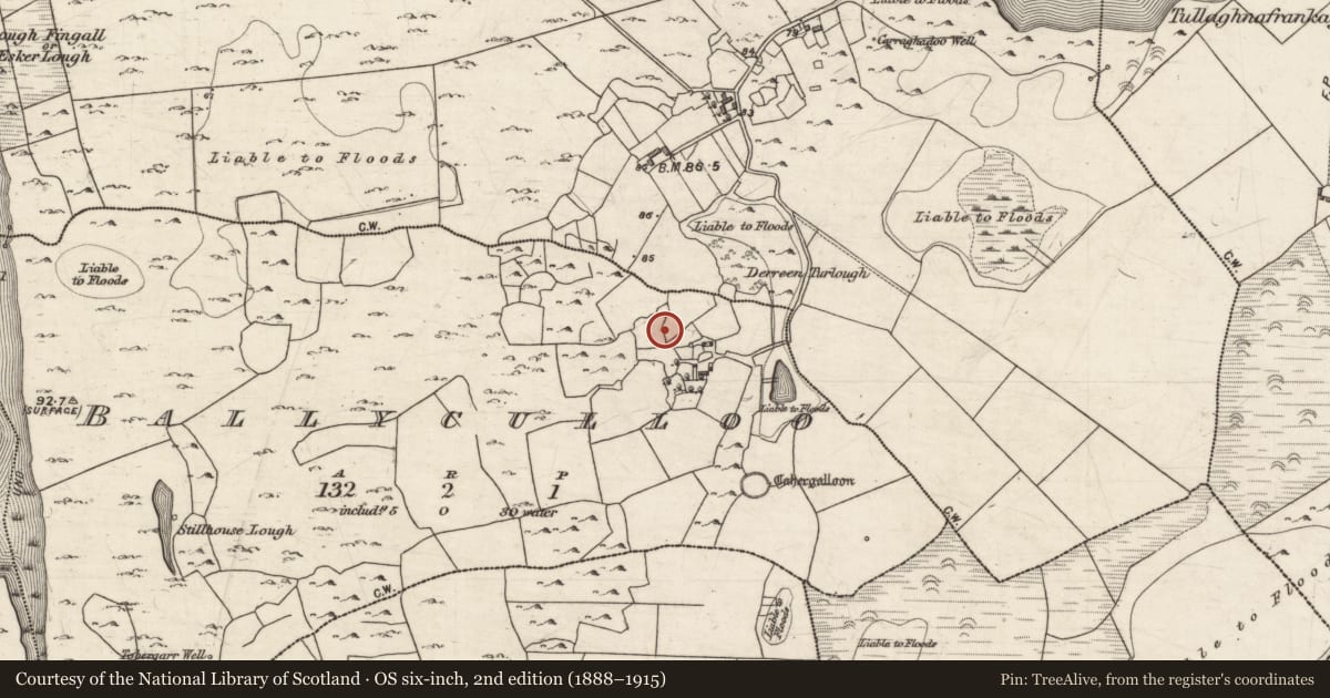 Ordnance Survey six-inch map, 2nd edition (1888–1915) covering the location of Souterrain, Ballyculloo, County Galway, with a pin at the register's coordinates