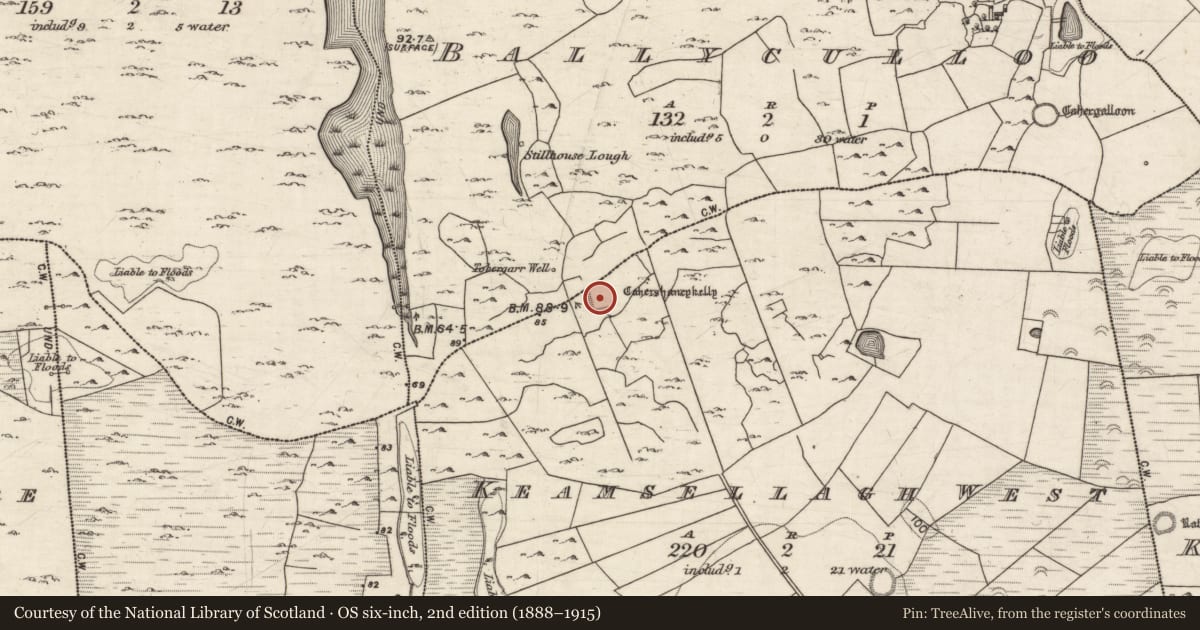 Ordnance Survey six-inch map, 2nd edition (1888–1915) covering the location of Ringfort - cashel, Ballyculloo, Keamsellagh West, County Galway, with a pin at the register's coordinates