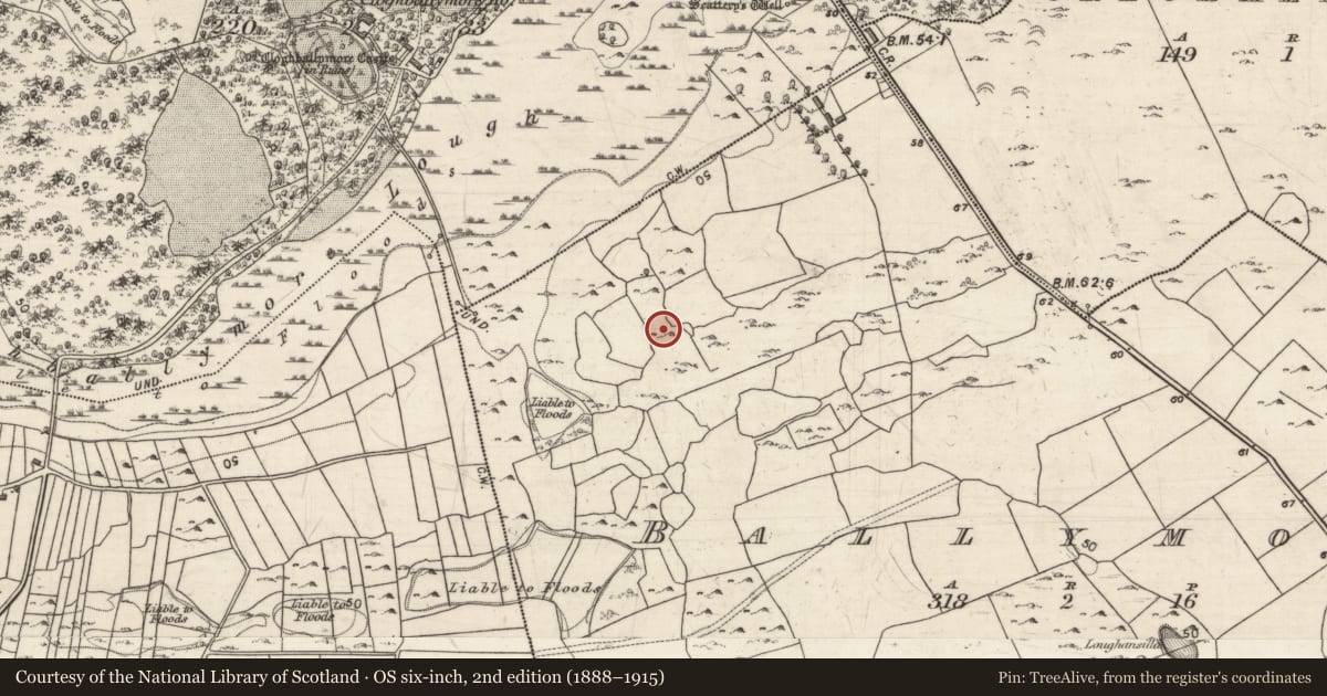Ordnance Survey six-inch map, 2nd edition (1888–1915) covering the location of Ringfort - cashel, Ballymore, County Galway, with a pin at the register's coordinates