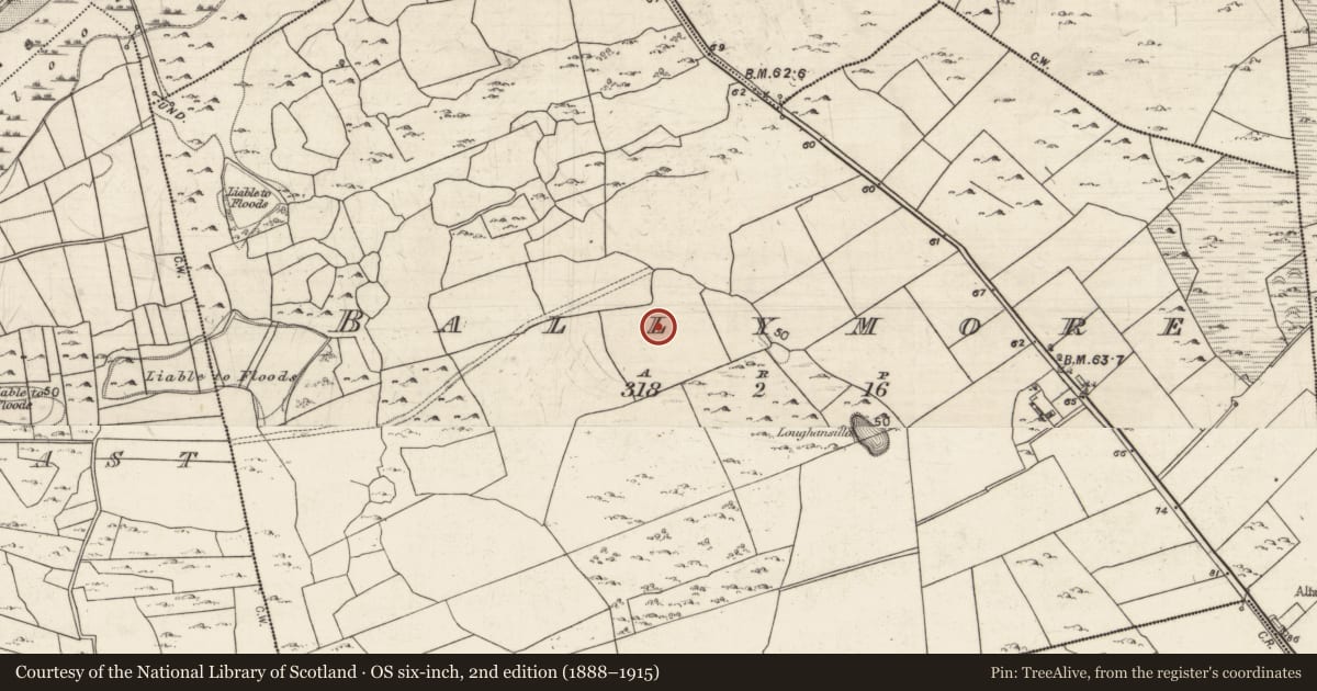 Ordnance Survey six-inch map, 2nd edition (1888–1915) covering the location of Enclosure, Ballymore, County Galway, with a pin at the register's coordinates