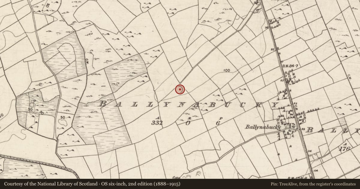Ordnance Survey six-inch map, 2nd edition (1888–1915) covering the location of Ringfort - rath, Ballynabucky, County Galway, with a pin at the register's coordinates