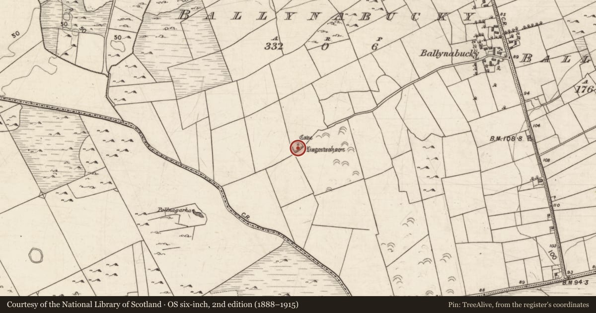 Ordnance Survey six-inch map, 2nd edition (1888–1915) covering the location of Ringfort - rath, Ballynabucky, County Galway, with a pin at the register's coordinates
