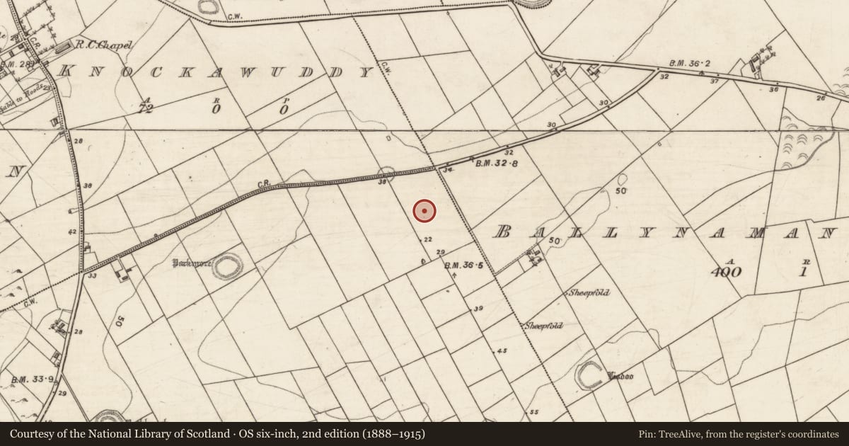 Ordnance Survey six-inch map, 2nd edition (1888–1915) covering the location of Well, Ballynacourty, County Galway, with a pin at the register's coordinates