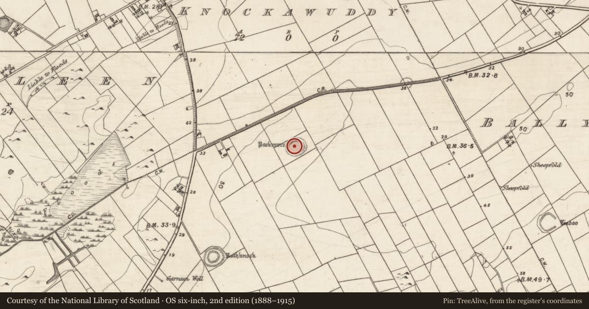 Ordnance Survey six-inch map, 2nd edition (1888–1915) covering the location of Ringfort - rath, Ballynacourty, County Galway, with a pin at the register's coordinates