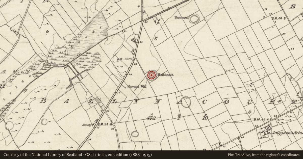 Ordnance Survey six-inch map, 2nd edition (1888–1915) covering the location of Ringfort - rath, Ballynacourty, County Galway, with a pin at the register's coordinates