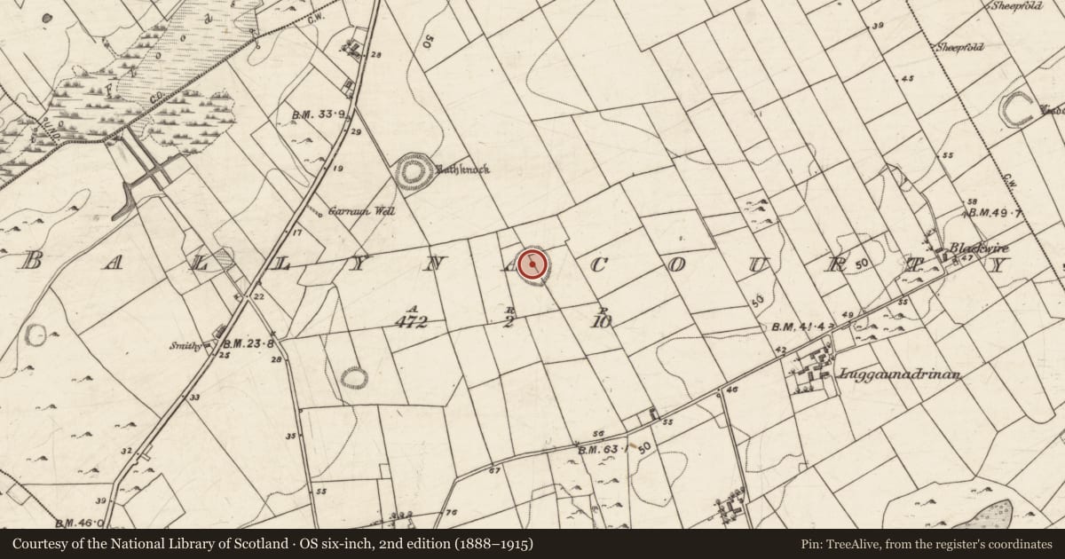 Ordnance Survey six-inch map, 2nd edition (1888–1915) covering the location of Ringfort - rath, Ballynacourty, County Galway, with a pin at the register's coordinates