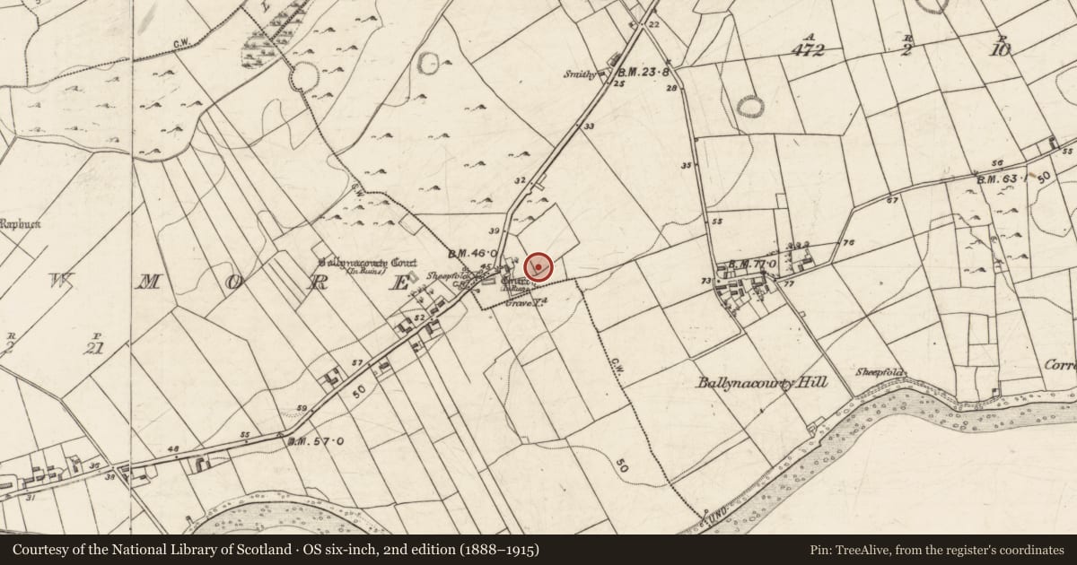 Ordnance Survey six-inch map, 2nd edition (1888–1915) covering the location of Souterrain, Ballynacourty, County Galway, with a pin at the register's coordinates