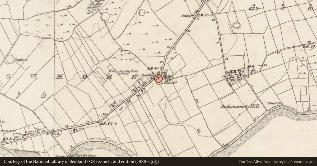 Ordnance Survey six-inch map, 2nd edition (1888–1915) covering the location of Graveslab, Ballynacourty, County Galway, with a pin at the register's coordinates