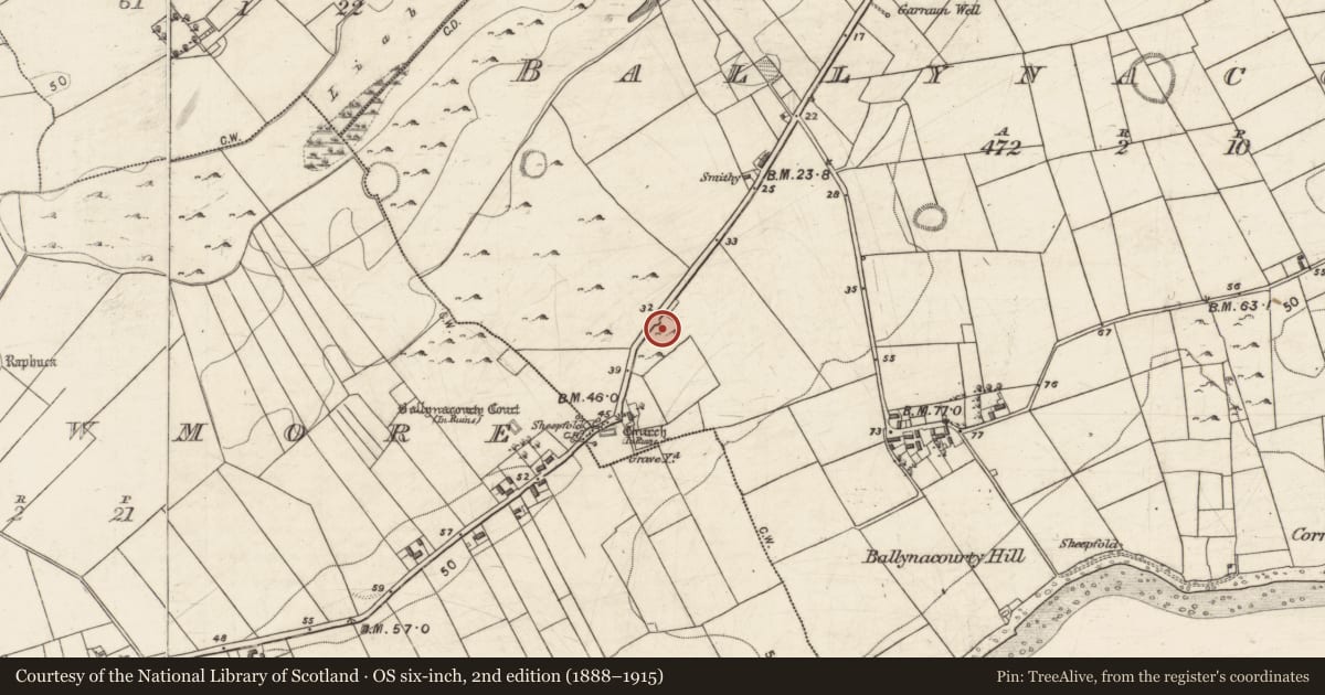 Ordnance Survey six-inch map, 2nd edition (1888–1915) covering the location of Cross, Ballynacourty, County Galway, with a pin at the register's coordinates