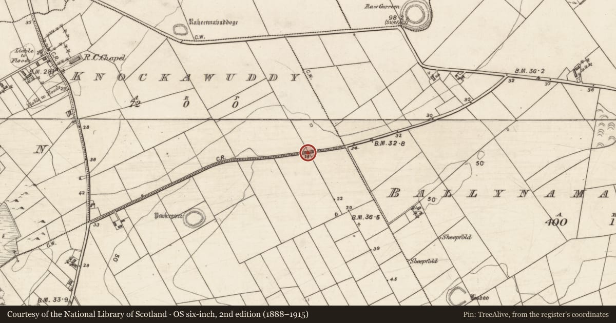 Ordnance Survey six-inch map, 2nd edition (1888–1915) covering the location of Ringfort - rath, Knockawuddy, Ballynacourty, County Galway, with a pin at the register's coordinates