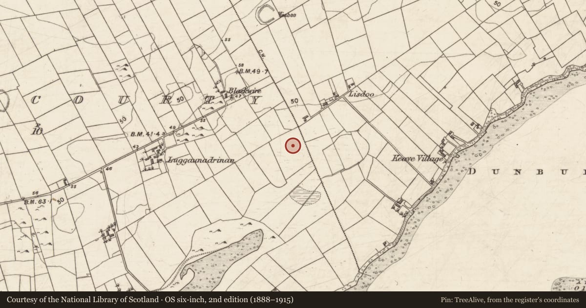 Ordnance Survey six-inch map, 2nd edition (1888–1915) covering the location of Fulacht fia, Ballynacourty, County Galway, with a pin at the register's coordinates