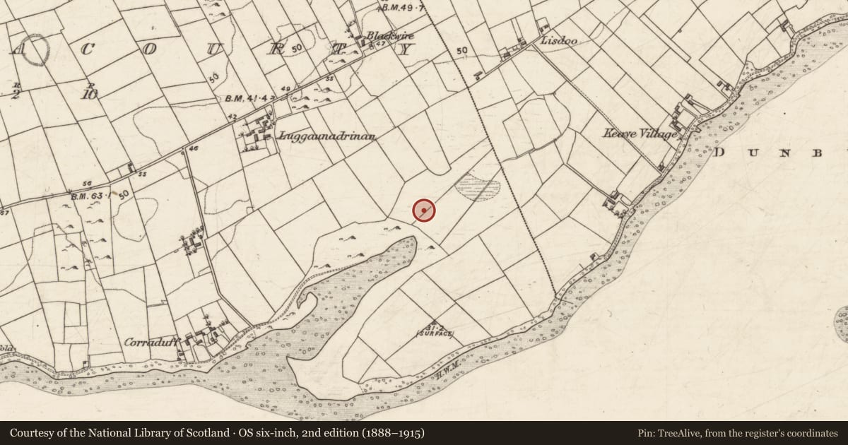 Ordnance Survey six-inch map, 2nd edition (1888–1915) covering the location of Fulacht fia, Ballynacourty, County Galway, with a pin at the register's coordinates