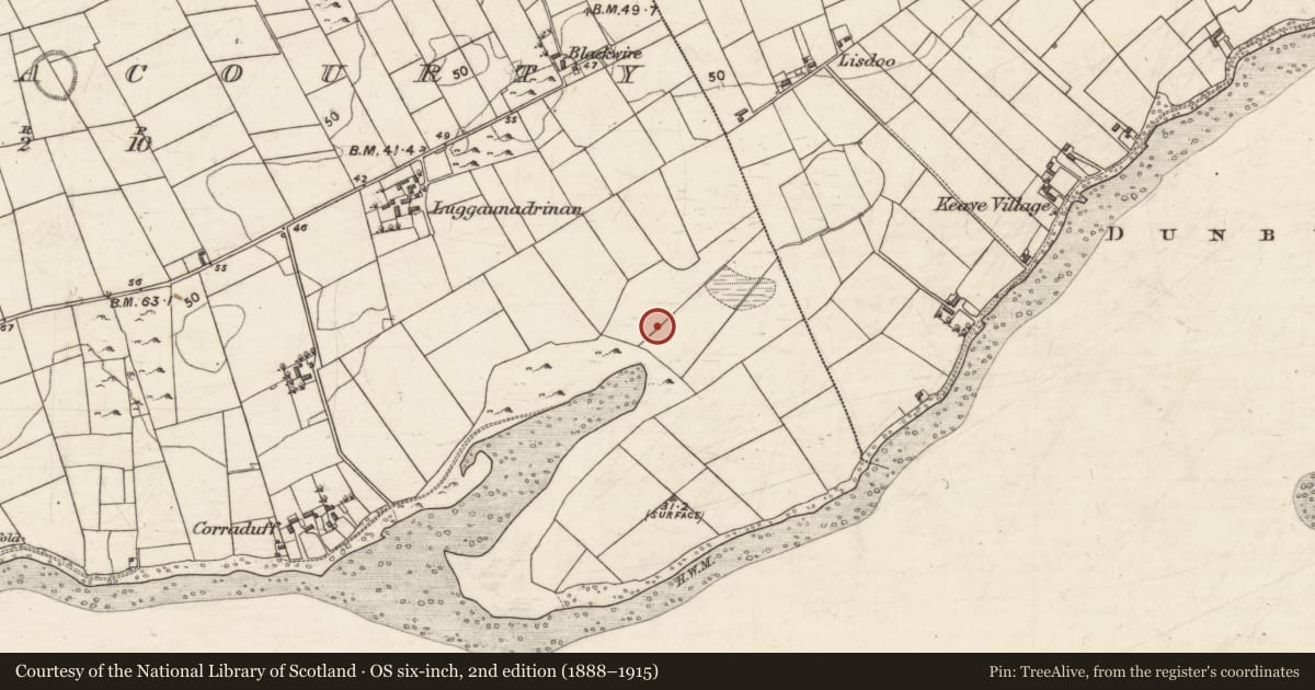Ordnance Survey six-inch map, 2nd edition (1888–1915) covering the location of Fulacht fia, Ballynacourty, County Galway, with a pin at the register's coordinates