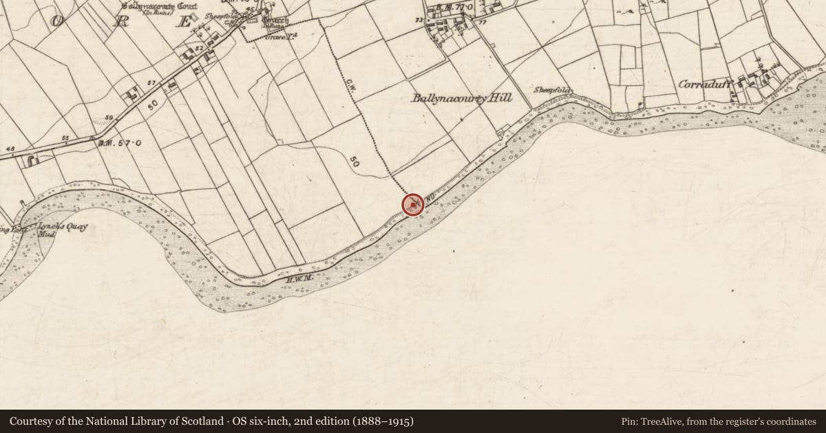 Ordnance Survey six-inch map, 2nd edition (1888–1915) covering the location of Midden, Ballynacourty, Carrowmore (Ballynacourty ED ), County Galway, with a pin at the register's coordinates