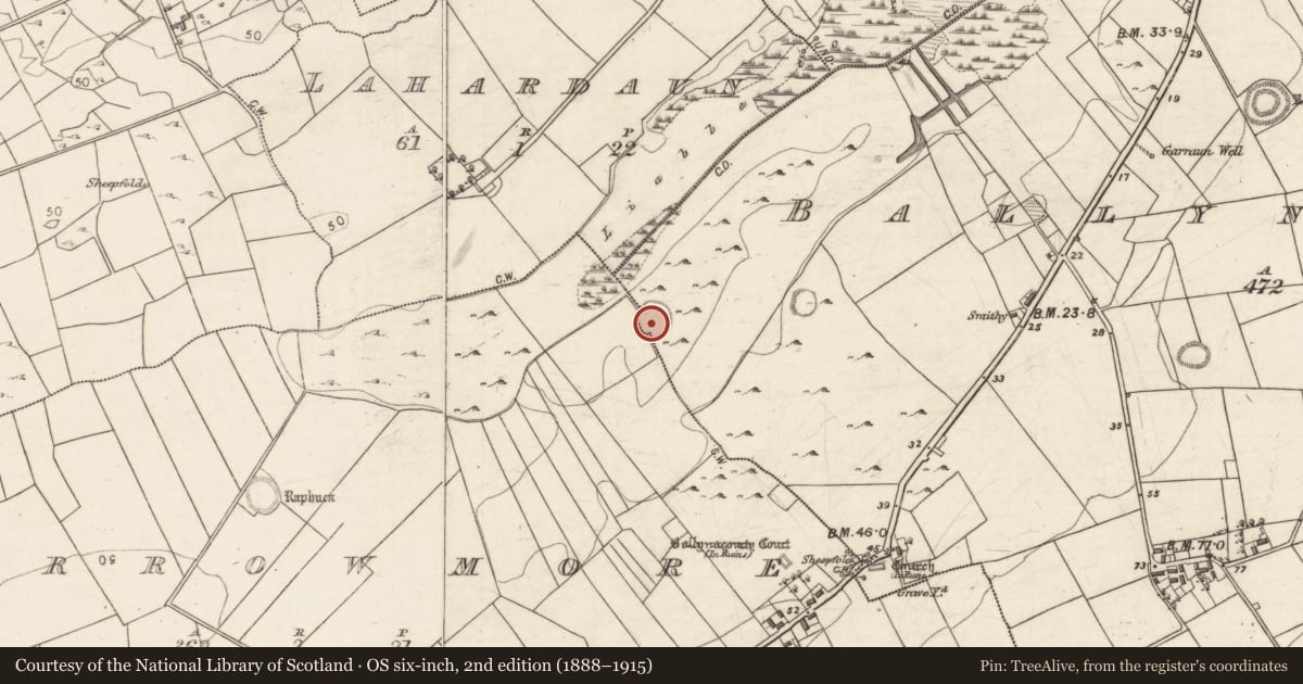 Ordnance Survey six-inch map, 2nd edition (1888–1915) covering the location of Ringfort - cashel, Carrowmore (Ballynacourty ED ), Ballynacourty, County Galway, with a pin at the register's coordinates
