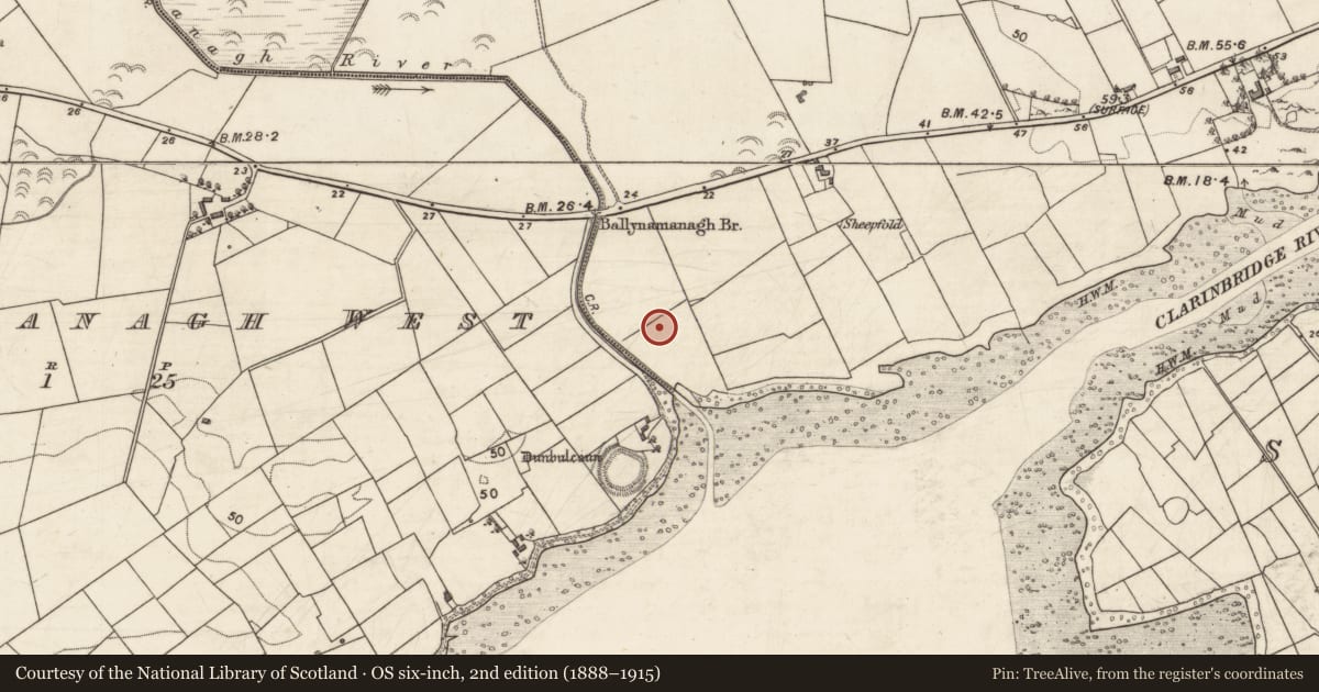 Ordnance Survey six-inch map, 2nd edition (1888–1915) covering the location of Ringfort - rath, Ballynamanagh East, County Galway, with a pin at the register's coordinates
