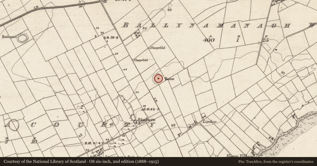 Ordnance Survey six-inch map, 2nd edition (1888–1915) covering the location of Souterrain, Ballynamanagh West, County Galway, with a pin at the register's coordinates