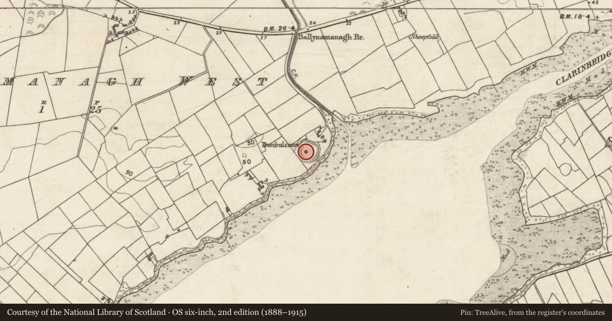 Ordnance Survey six-inch map, 2nd edition (1888–1915) covering the location of Ringfort - rath, Ballynamanagh West, County Galway, with a pin at the register's coordinates