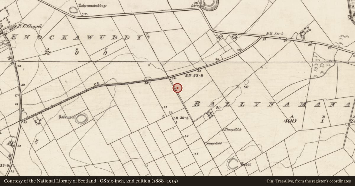Ordnance Survey six-inch map, 2nd edition (1888–1915) covering the location of Fulacht fia, Ballynamanagh West, County Galway, with a pin at the register's coordinates