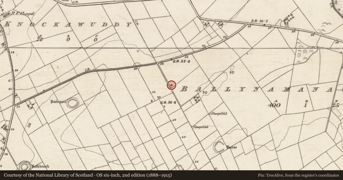 Ordnance Survey six-inch map, 2nd edition (1888–1915) covering the location of Fulacht fia, Ballynamanagh West, County Galway, with a pin at the register's coordinates