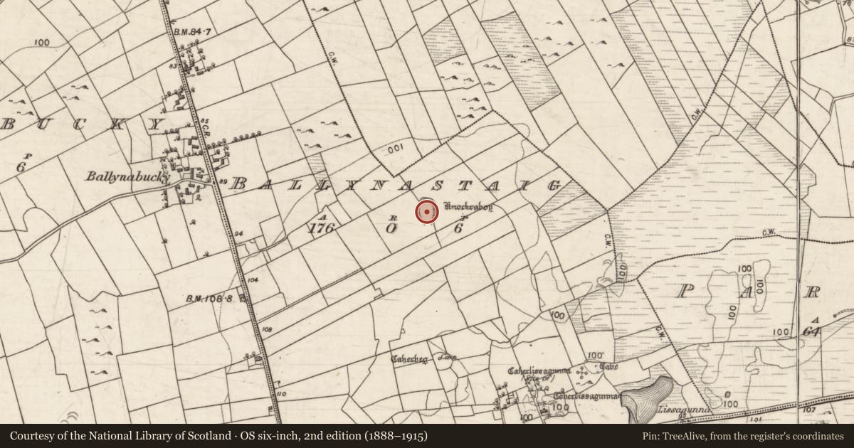Ordnance Survey six-inch map, 2nd edition (1888–1915) covering the location of Ringfort - rath, Ballynastaig, County Galway, with a pin at the register's coordinates
