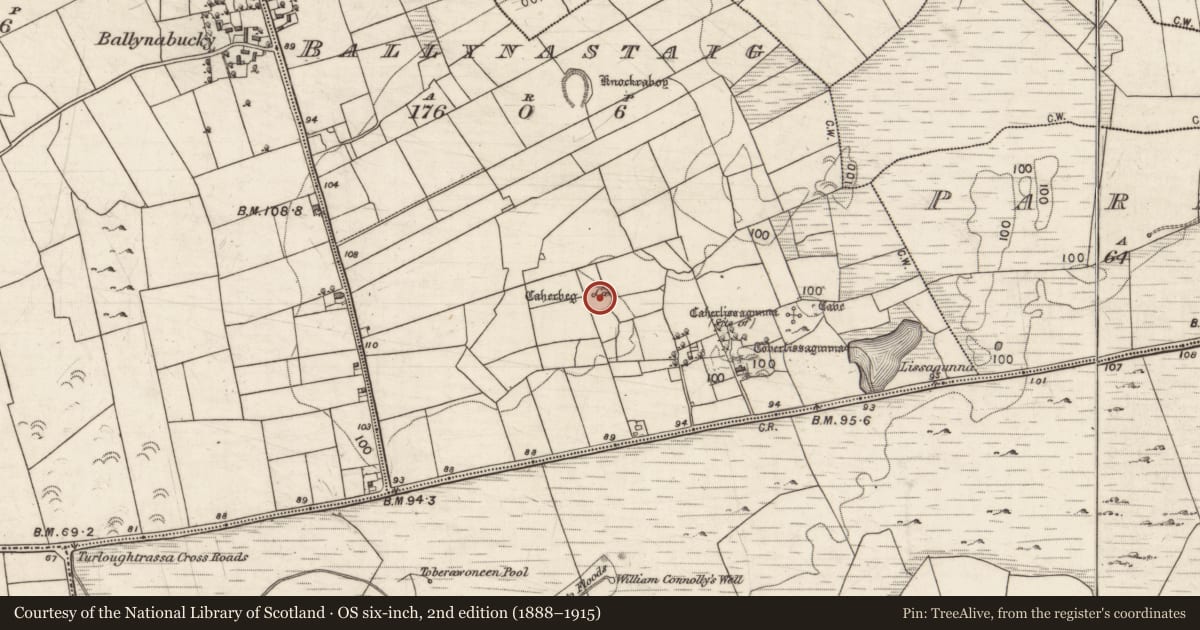 Ordnance Survey six-inch map, 2nd edition (1888–1915) covering the location of Ringfort - cashel, Ballynastaig, County Galway, with a pin at the register's coordinates
