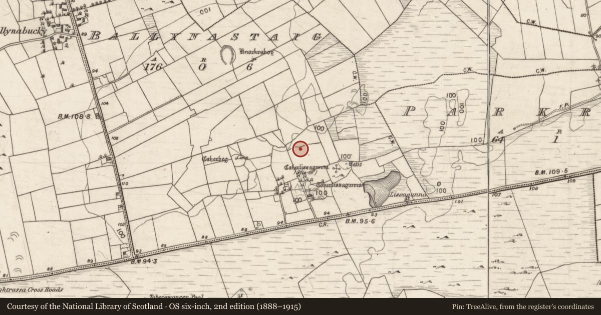 Ordnance Survey six-inch map, 2nd edition (1888–1915) covering the location of Well, Ballynastaig, County Galway, with a pin at the register's coordinates