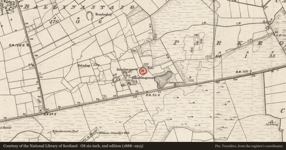 Ordnance Survey six-inch map, 2nd edition (1888–1915) covering the location of House - indeterminate date, Ballynastaig, County Galway, with a pin at the register's coordinates